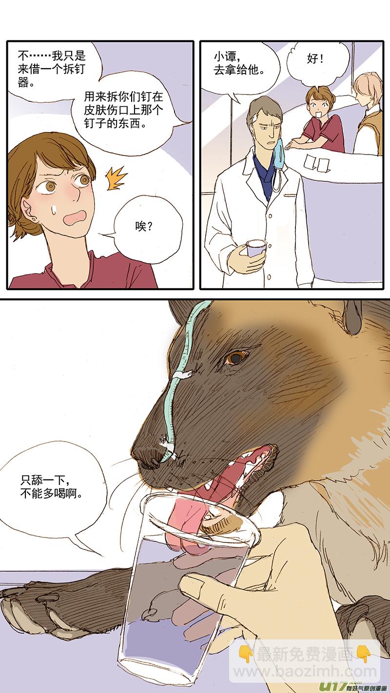《百足宠物诊所》043 动脉导管未闭 第5页