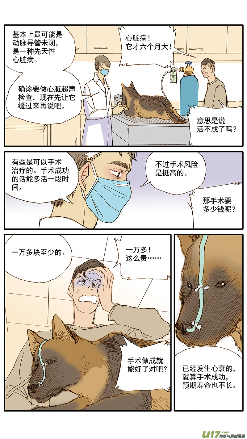 《百足宠物诊所》043 动脉导管未闭 第6页