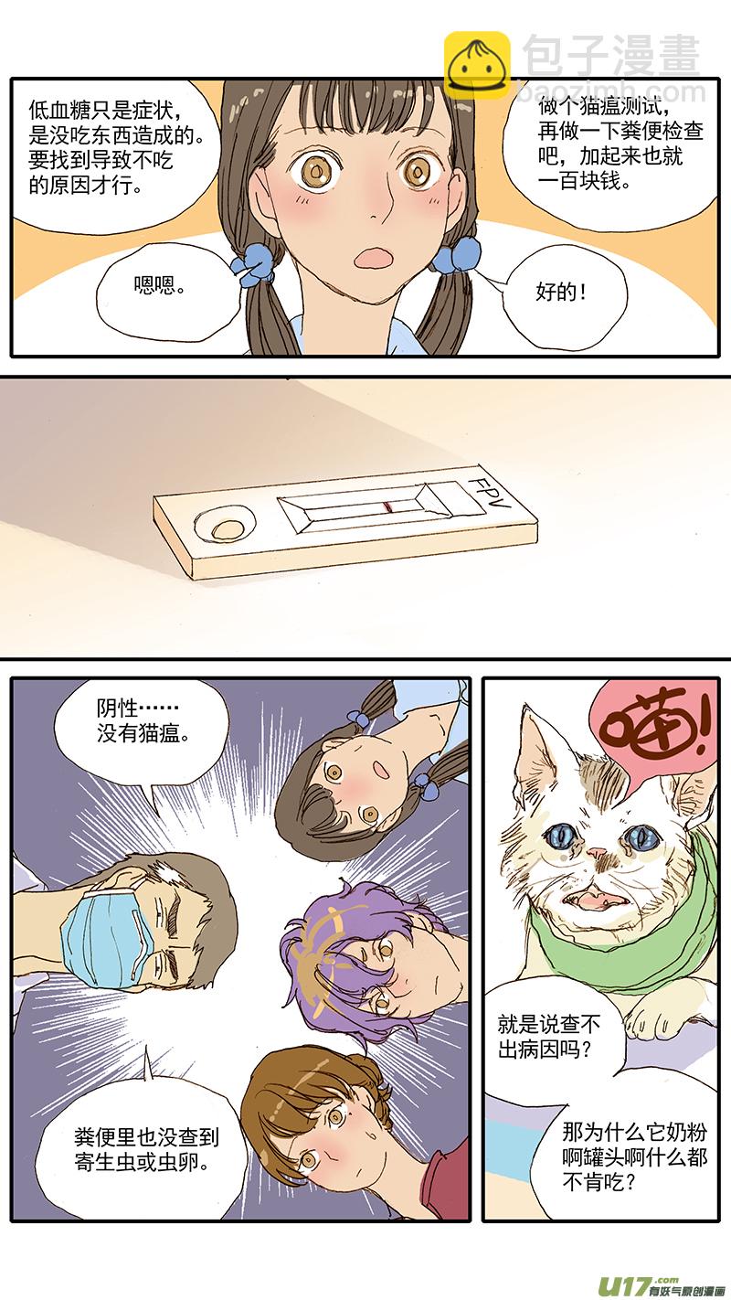 《百足宠物诊所》047 低血糖奶猫到底吃什么？ 第10页