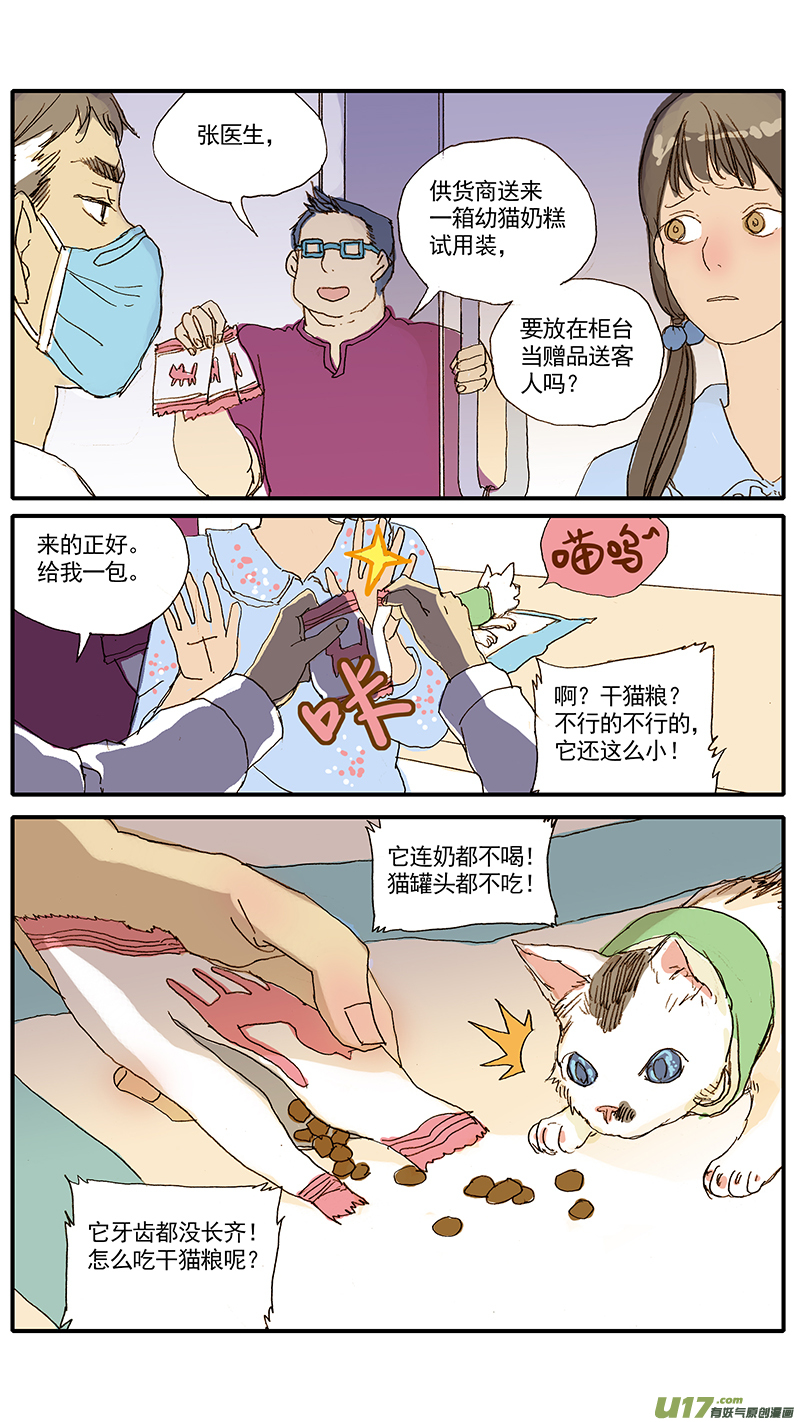 《百足宠物诊所》047 低血糖奶猫到底吃什么？ 第11页