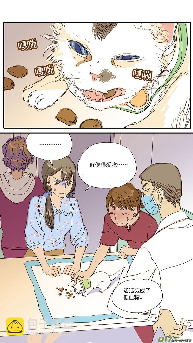 《百足宠物诊所》047 低血糖奶猫到底吃什么？ 第12页