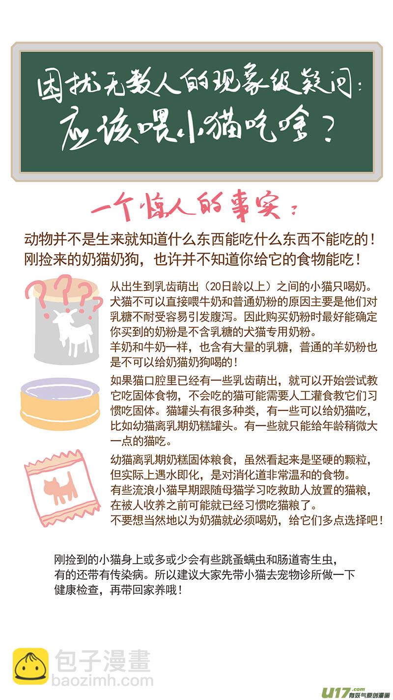 《百足宠物诊所》047 低血糖奶猫到底吃什么？ 第13页