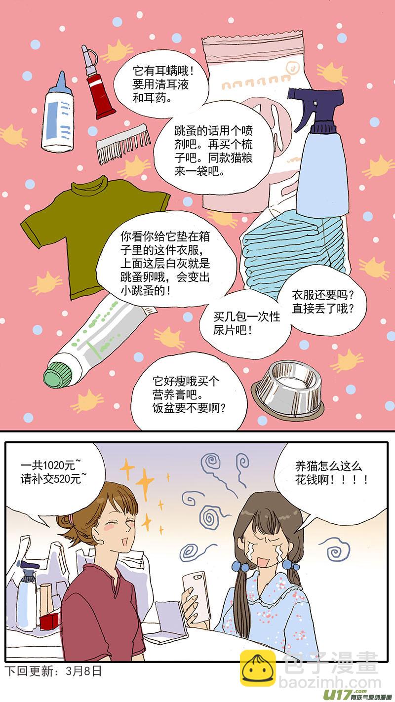 《百足宠物诊所》047 低血糖奶猫到底吃什么？ 第14页