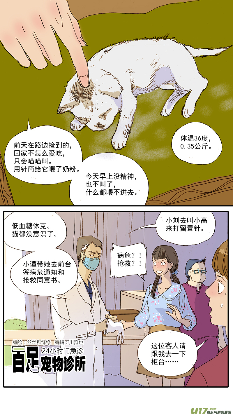 《百足宠物诊所》047 低血糖奶猫到底吃什么？ 第1页