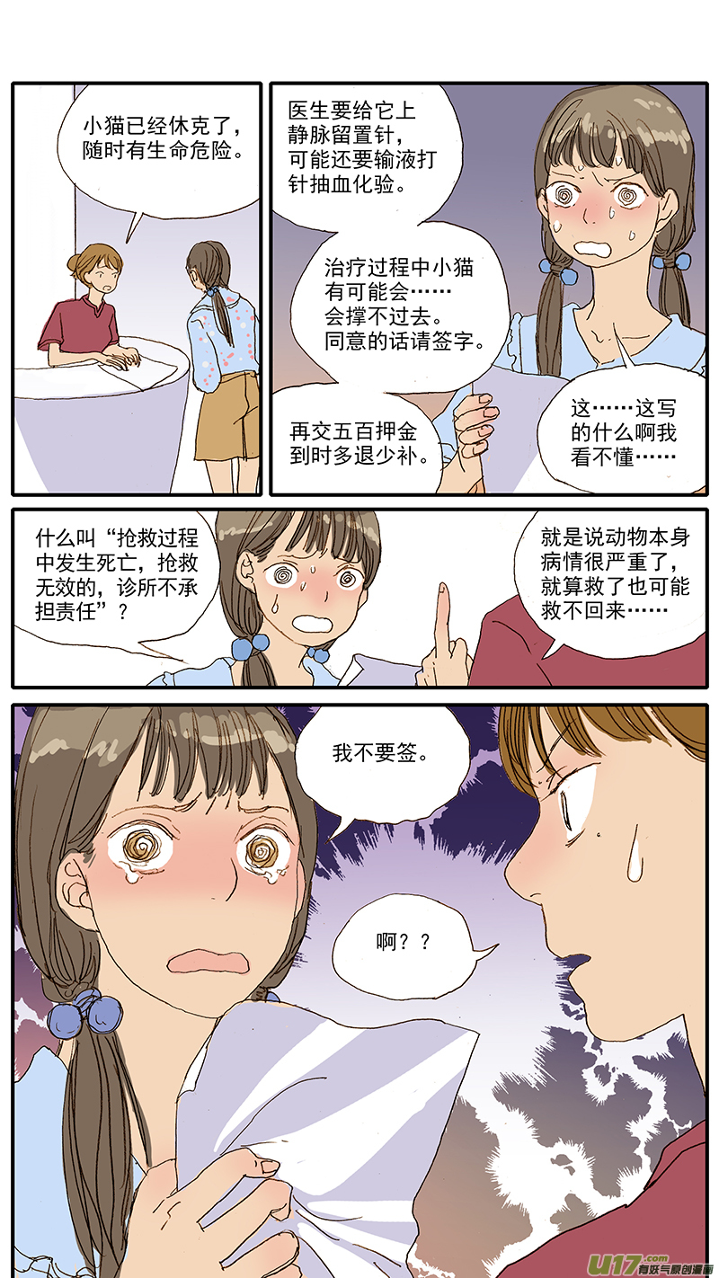 《百足宠物诊所》047 低血糖奶猫到底吃什么？ 第2页