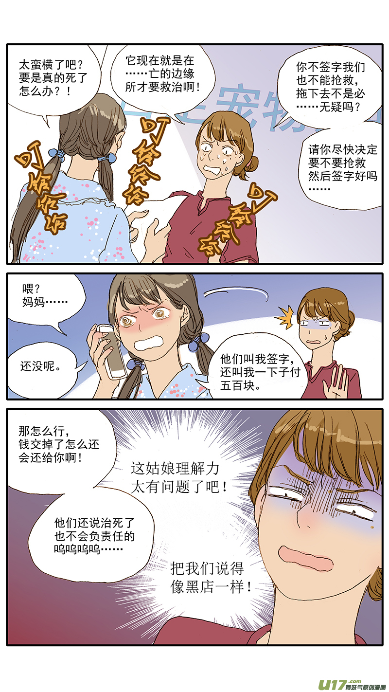 《百足宠物诊所》047 低血糖奶猫到底吃什么？ 第3页