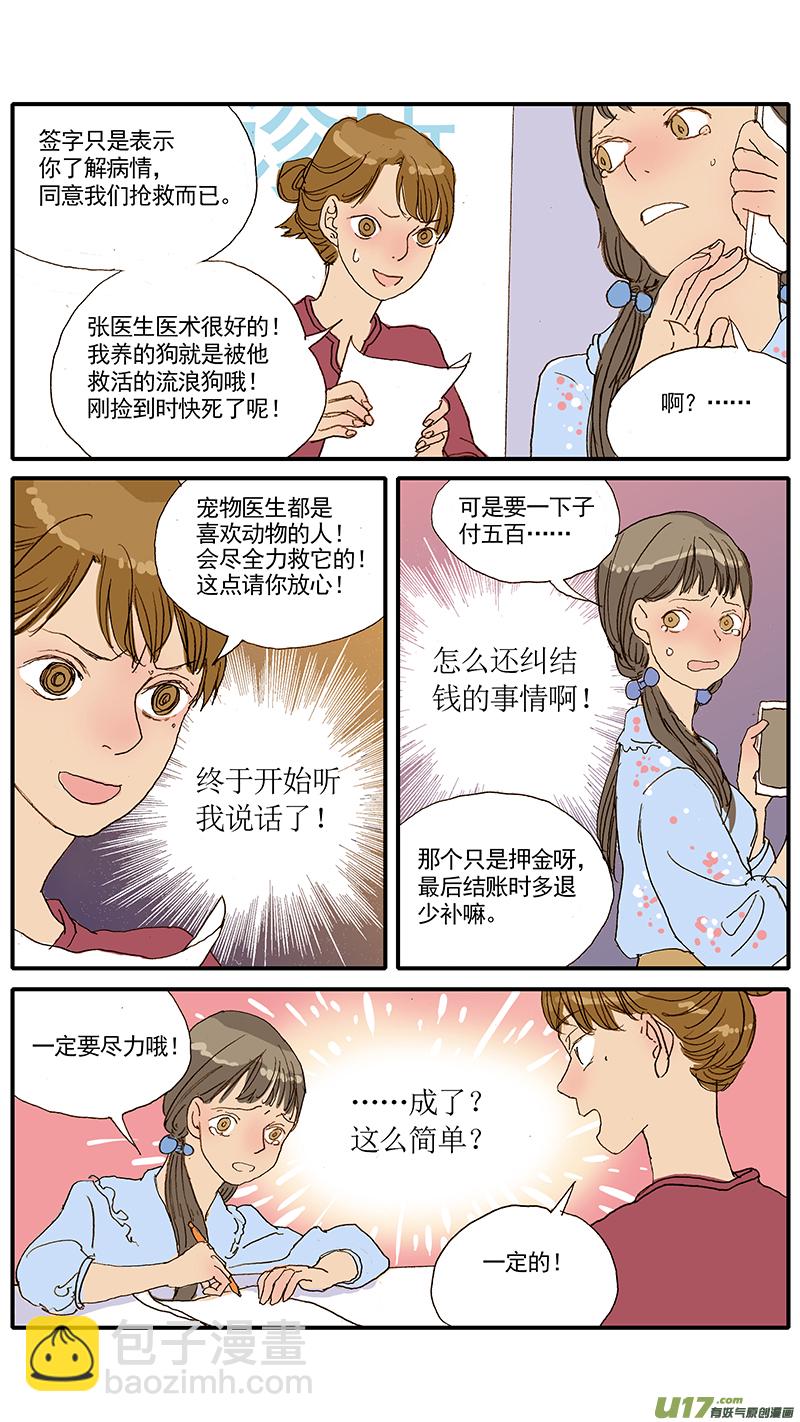 《百足宠物诊所》047 低血糖奶猫到底吃什么？ 第7页