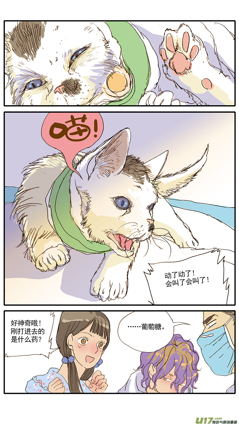 《百足宠物诊所》047 低血糖奶猫到底吃什么？ 第9页