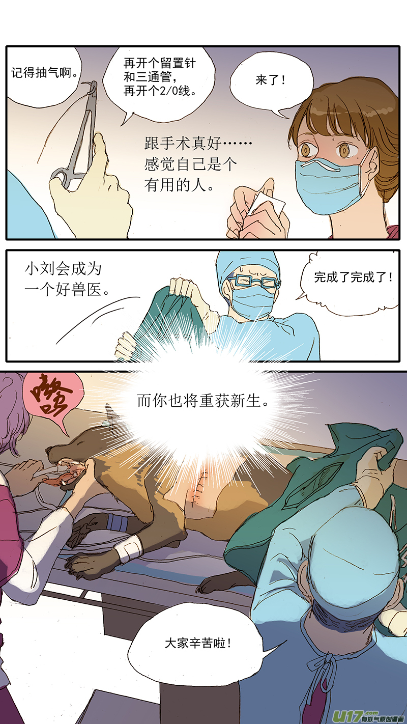 《百足宠物诊所》045 动脉导管未闭 第13页