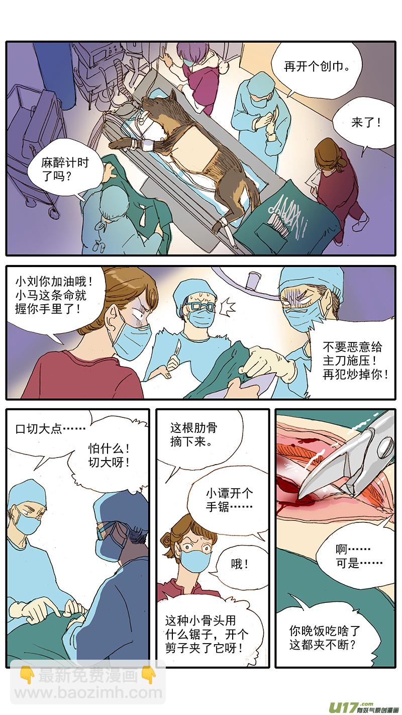 《百足宠物诊所》045 动脉导管未闭 第7页
