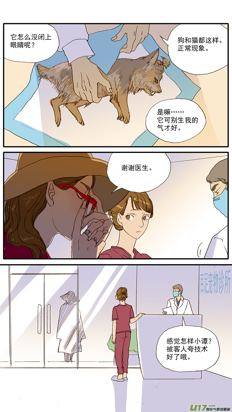 《百足宠物诊所》049 安乐死 第11页