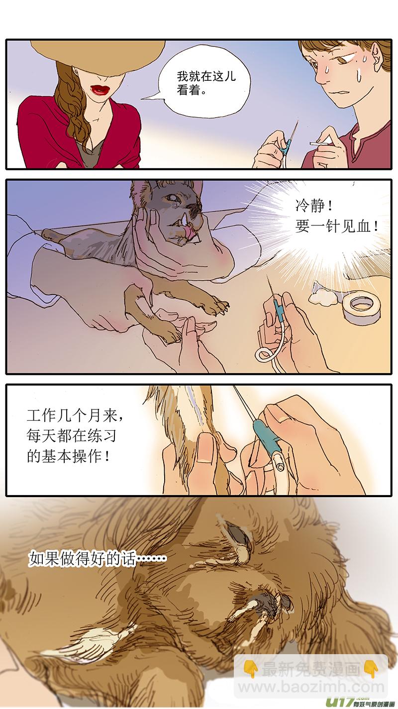 《百足宠物诊所》049 安乐死 第9页