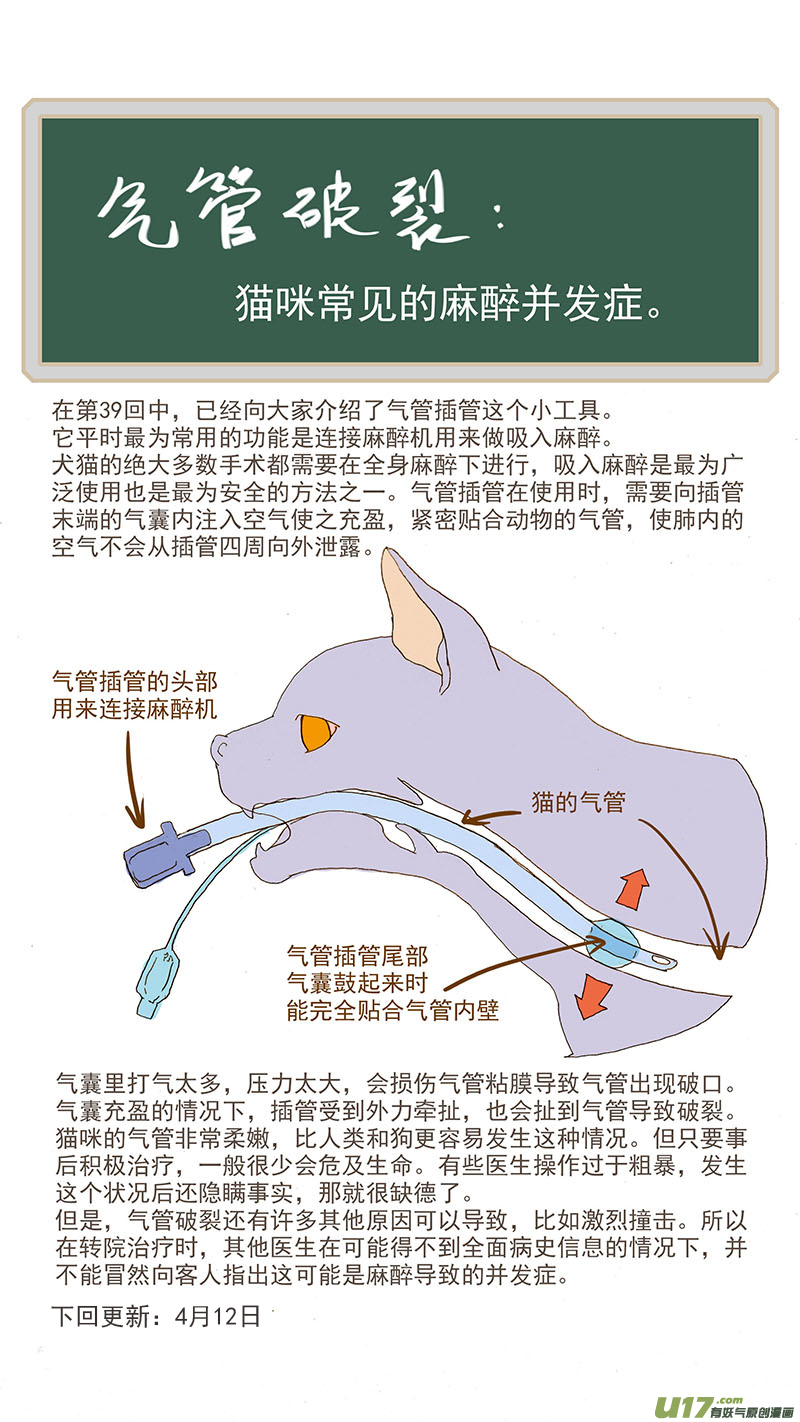 《百足宠物诊所》052 气管破裂 第15页