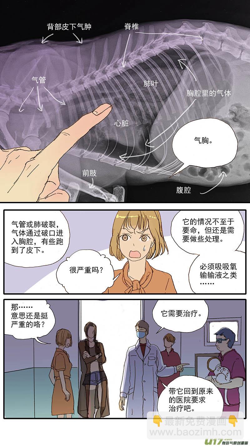 《百足宠物诊所》052 气管破裂 第8页