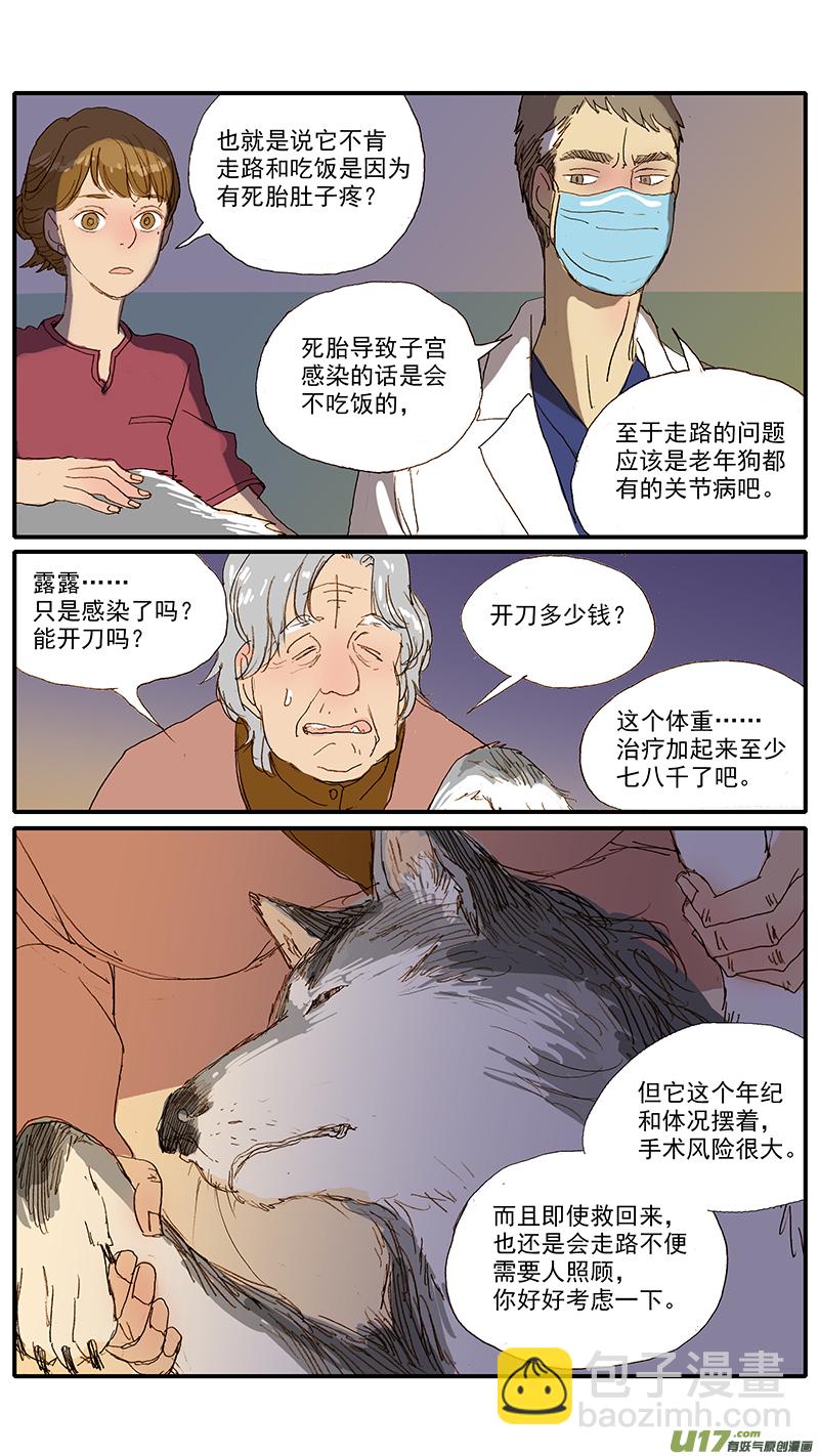《百足宠物诊所》050 死胎 第7页