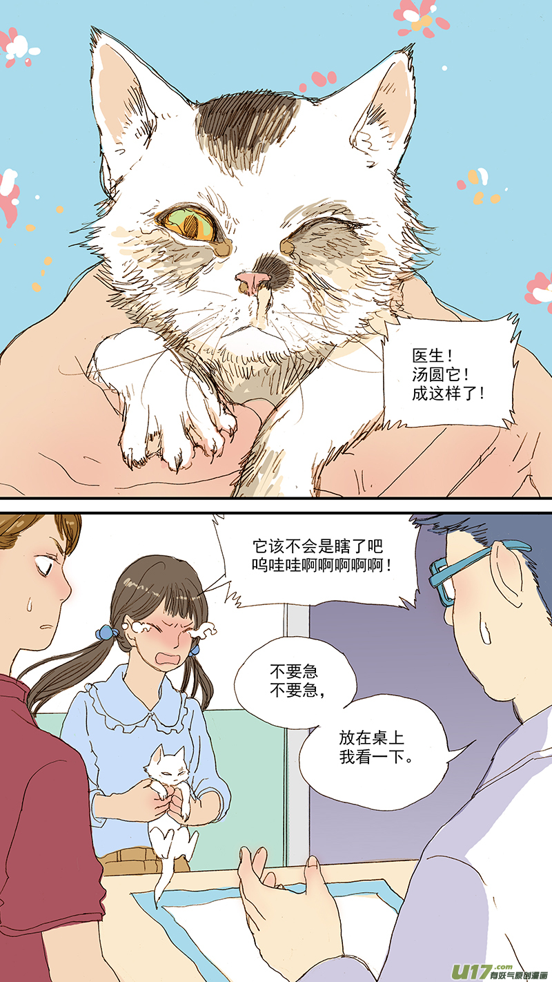 《百足宠物诊所》055 幼猫化脓性结膜炎 第1页