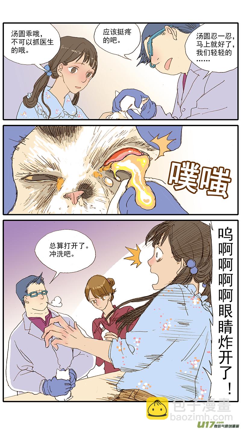 《百足宠物诊所》055 幼猫化脓性结膜炎 第3页