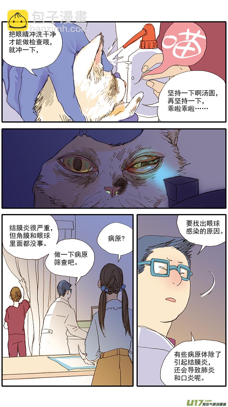 《百足宠物诊所》055 幼猫化脓性结膜炎 第4页