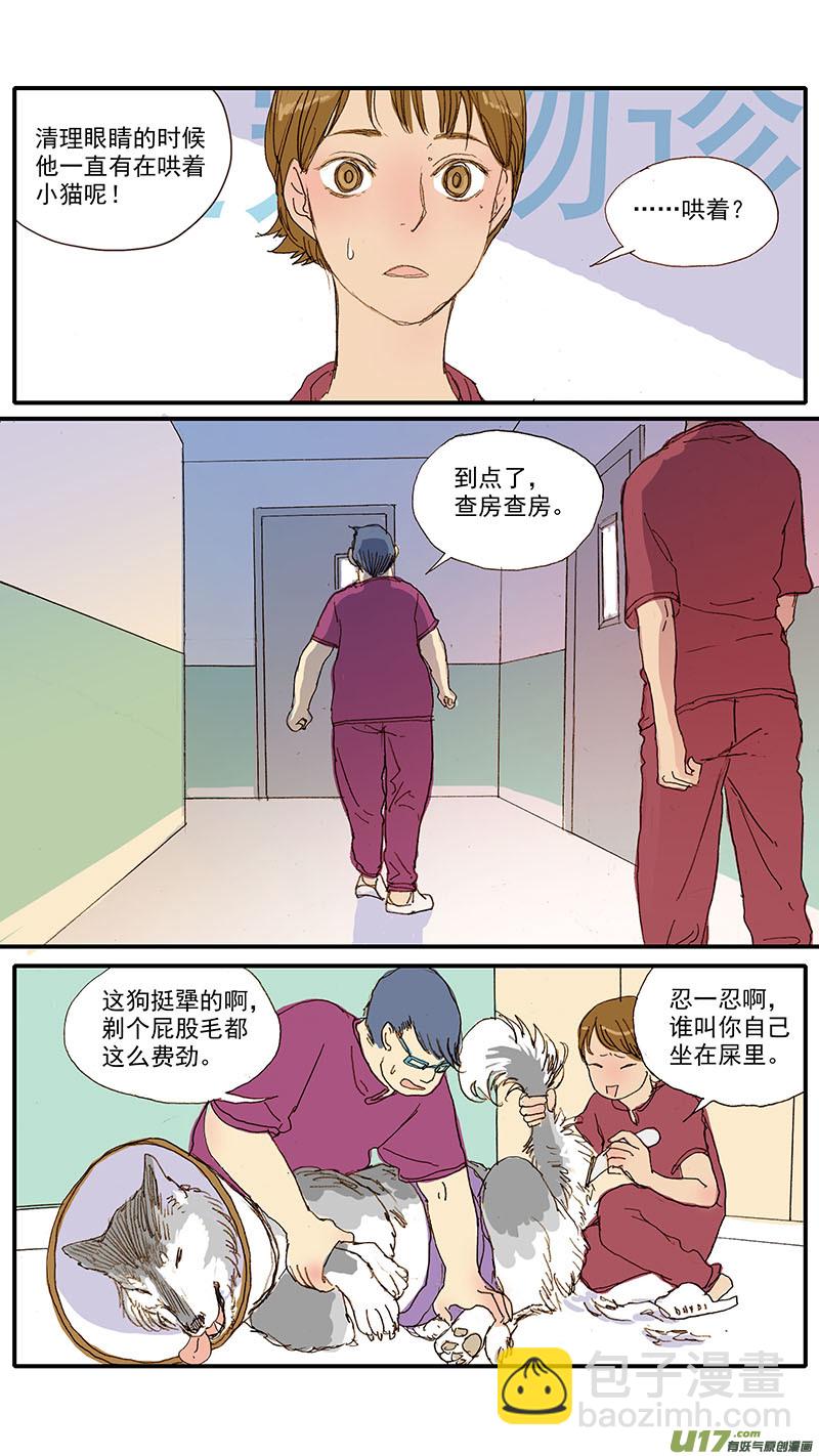 《百足宠物诊所》055 幼猫化脓性结膜炎 第7页