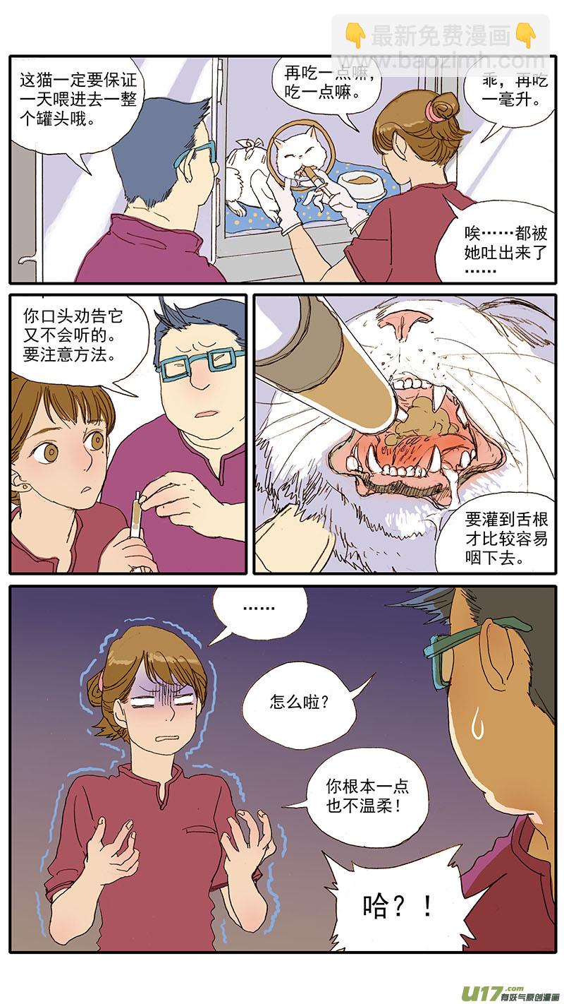 《百足宠物诊所》055 幼猫化脓性结膜炎 第8页