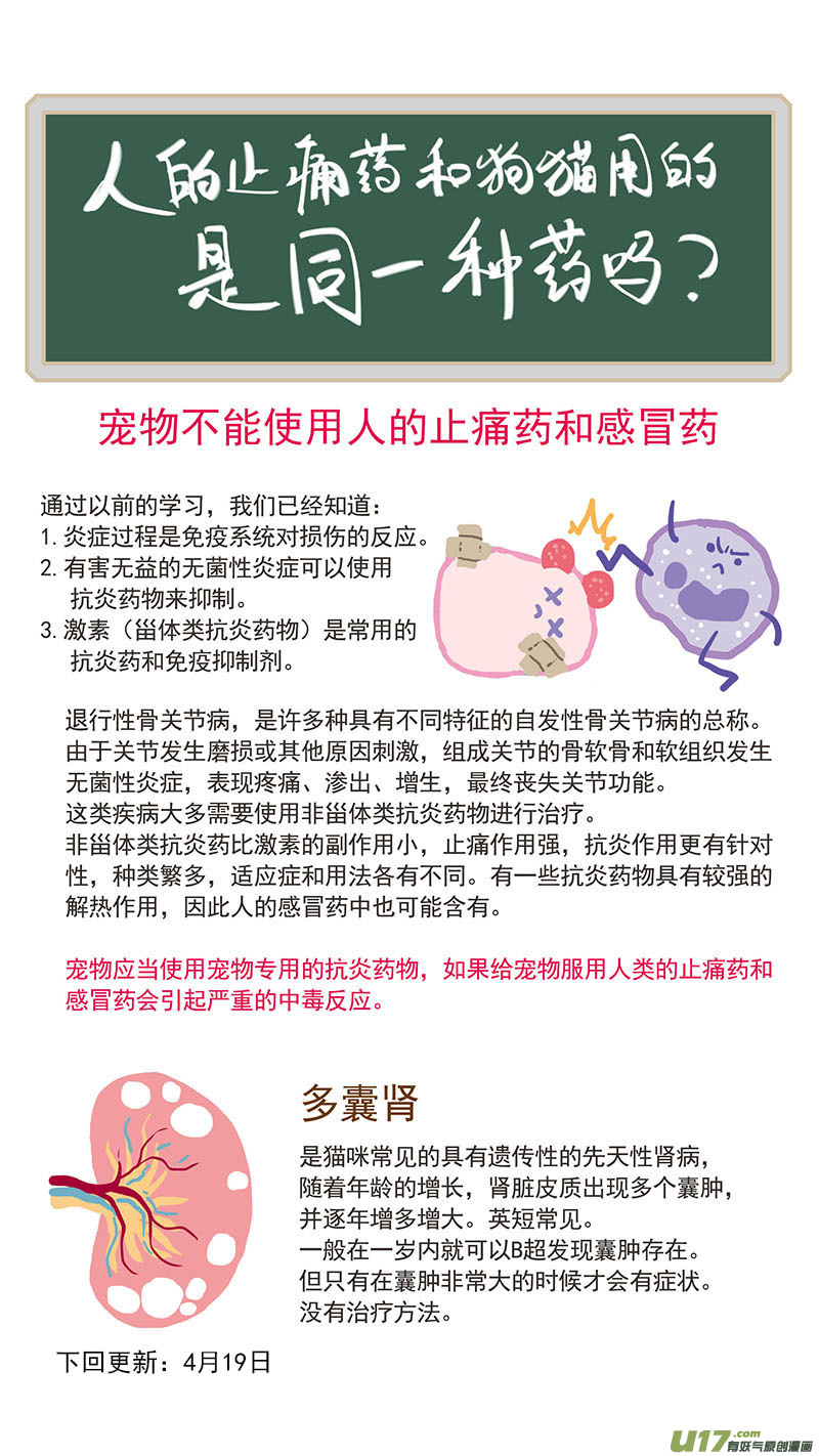《百足宠物诊所》053 抗炎止痛药物 第14页
