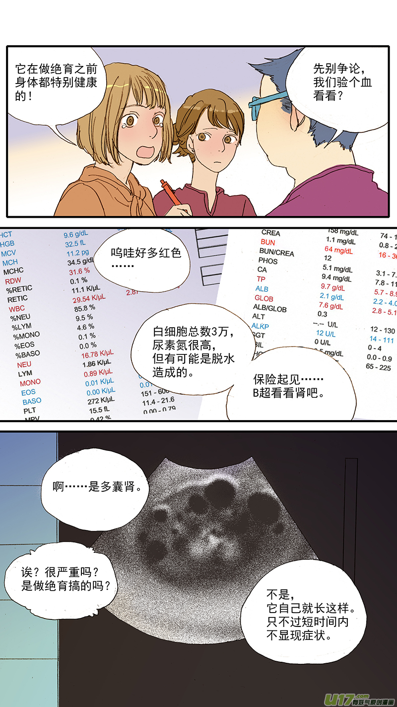 《百足宠物诊所》053 抗炎止痛药物 第2页