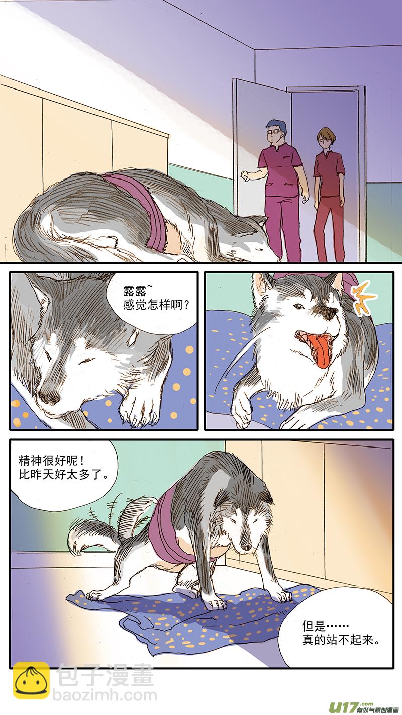 《百足宠物诊所》053 抗炎止痛药物 第5页