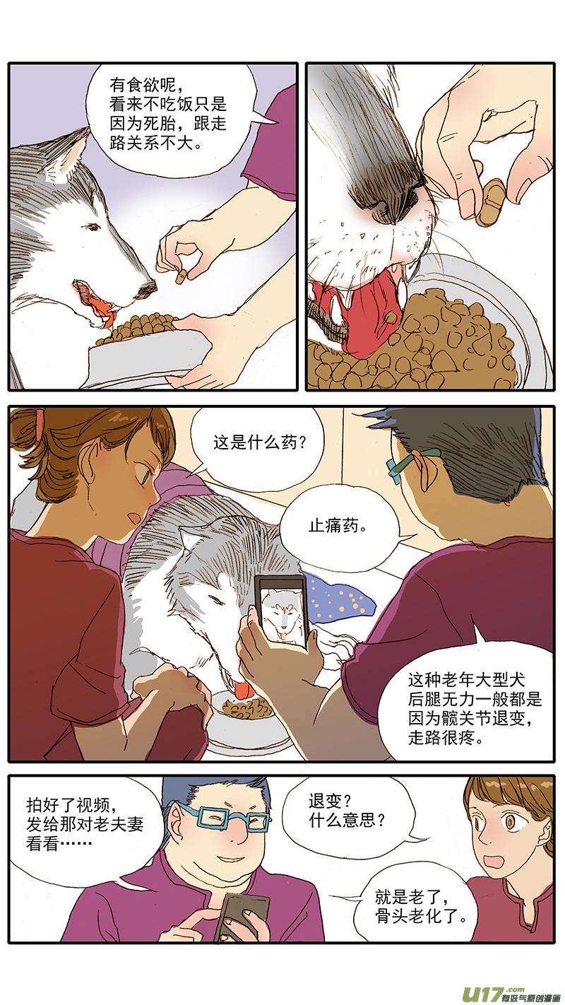 《百足宠物诊所》053 抗炎止痛药物 第6页