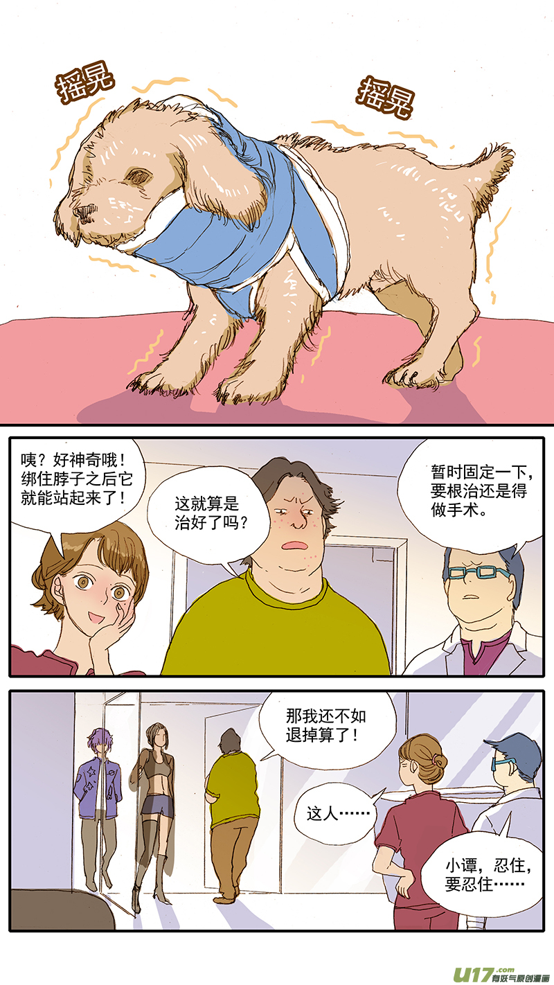 《百足宠物诊所》054 寰枢椎半脱位 第11页