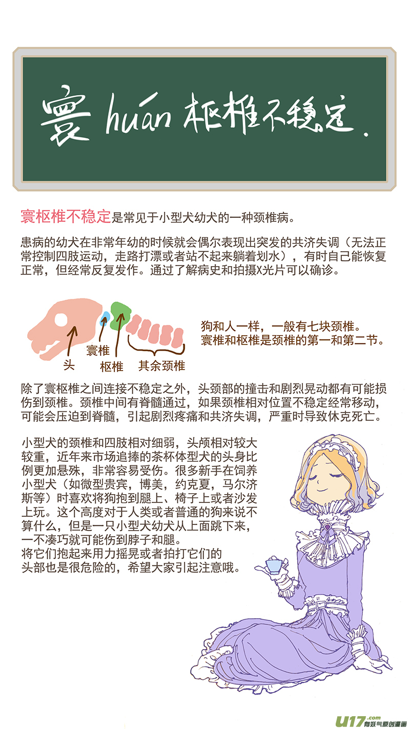 《百足宠物诊所》054 寰枢椎半脱位 第13页