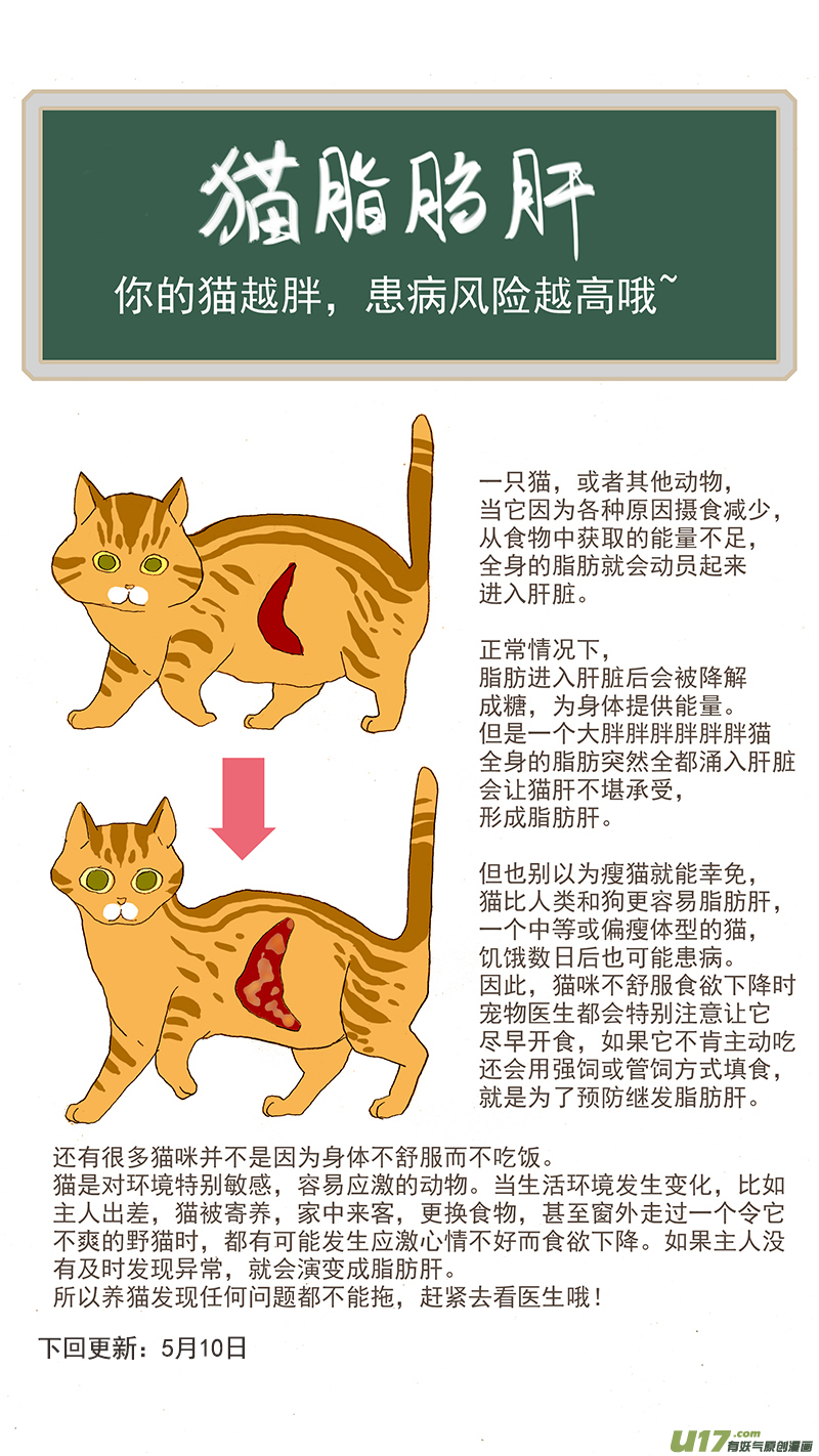 《百足宠物诊所》056 猫特发性脂肪肝 第15页