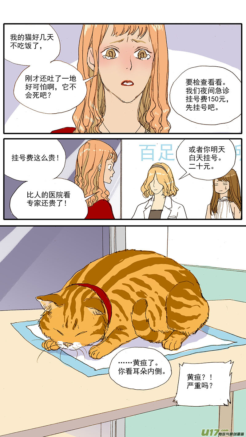 《百足宠物诊所》056 猫特发性脂肪肝 第3页