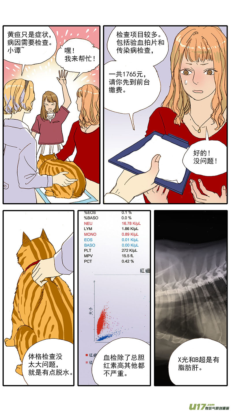 《百足宠物诊所》056 猫特发性脂肪肝 第4页