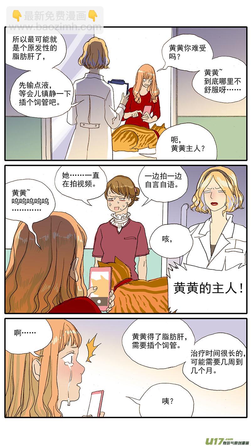 《百足宠物诊所》056 猫特发性脂肪肝 第5页