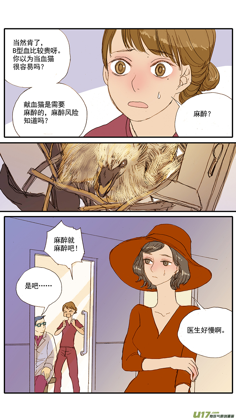 《百足宠物诊所》058 输血配血 第10页