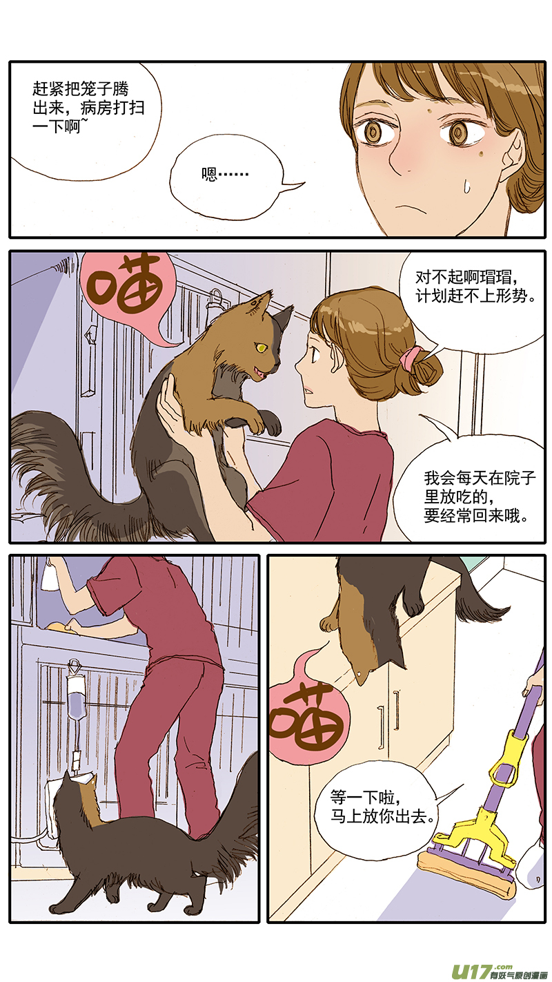 《百足宠物诊所》058 输血配血 第2页