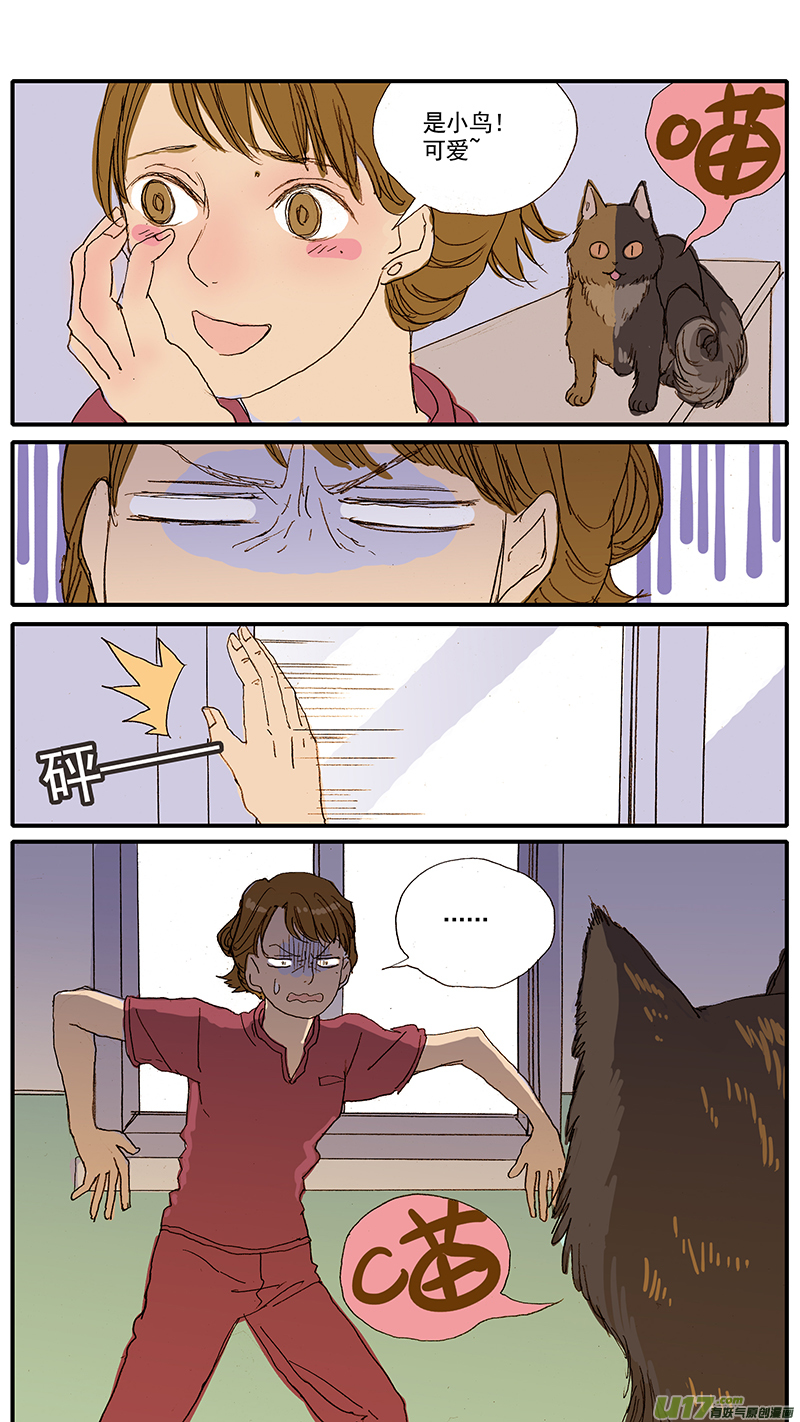 《百足宠物诊所》058 输血配血 第5页