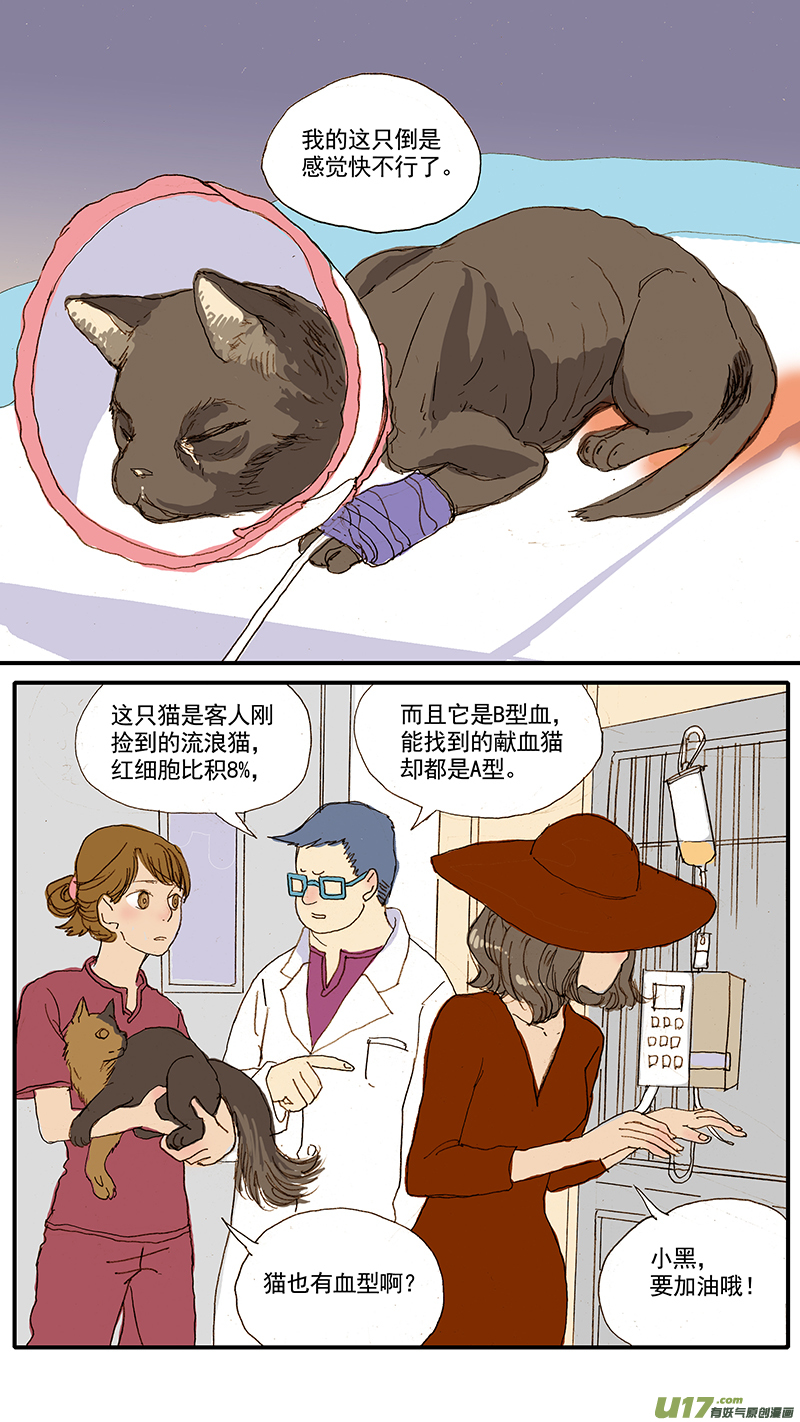 《百足宠物诊所》058 输血配血 第7页