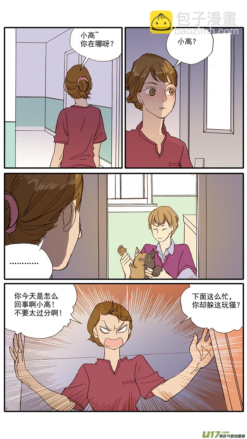 《百足宠物诊所》061 犭小孢子菌（猫癣） 第10页