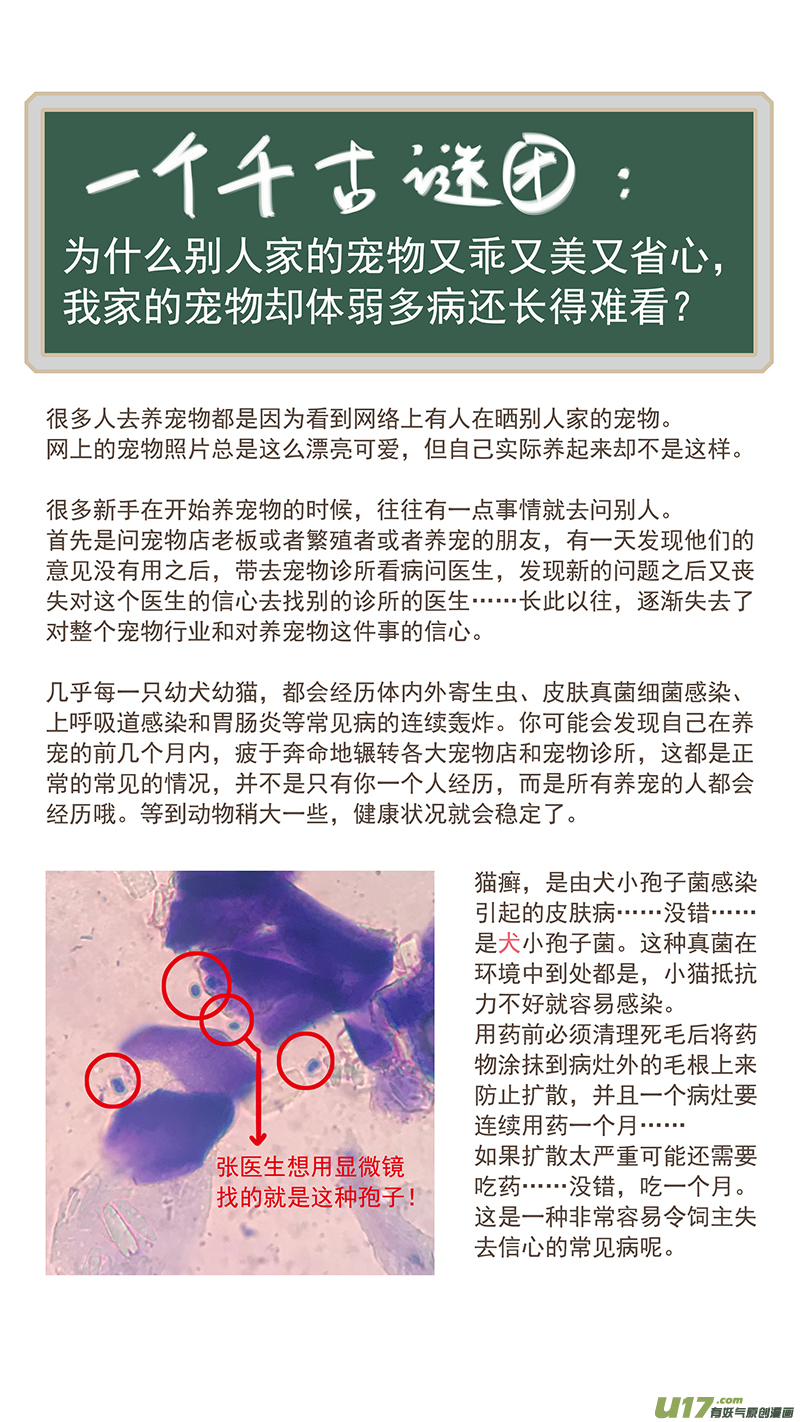 《百足宠物诊所》061 犭小孢子菌（猫癣） 第12页