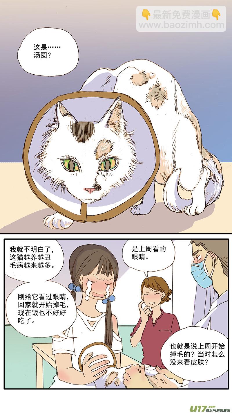 《百足宠物诊所》061 犭小孢子菌（猫癣） 第3页