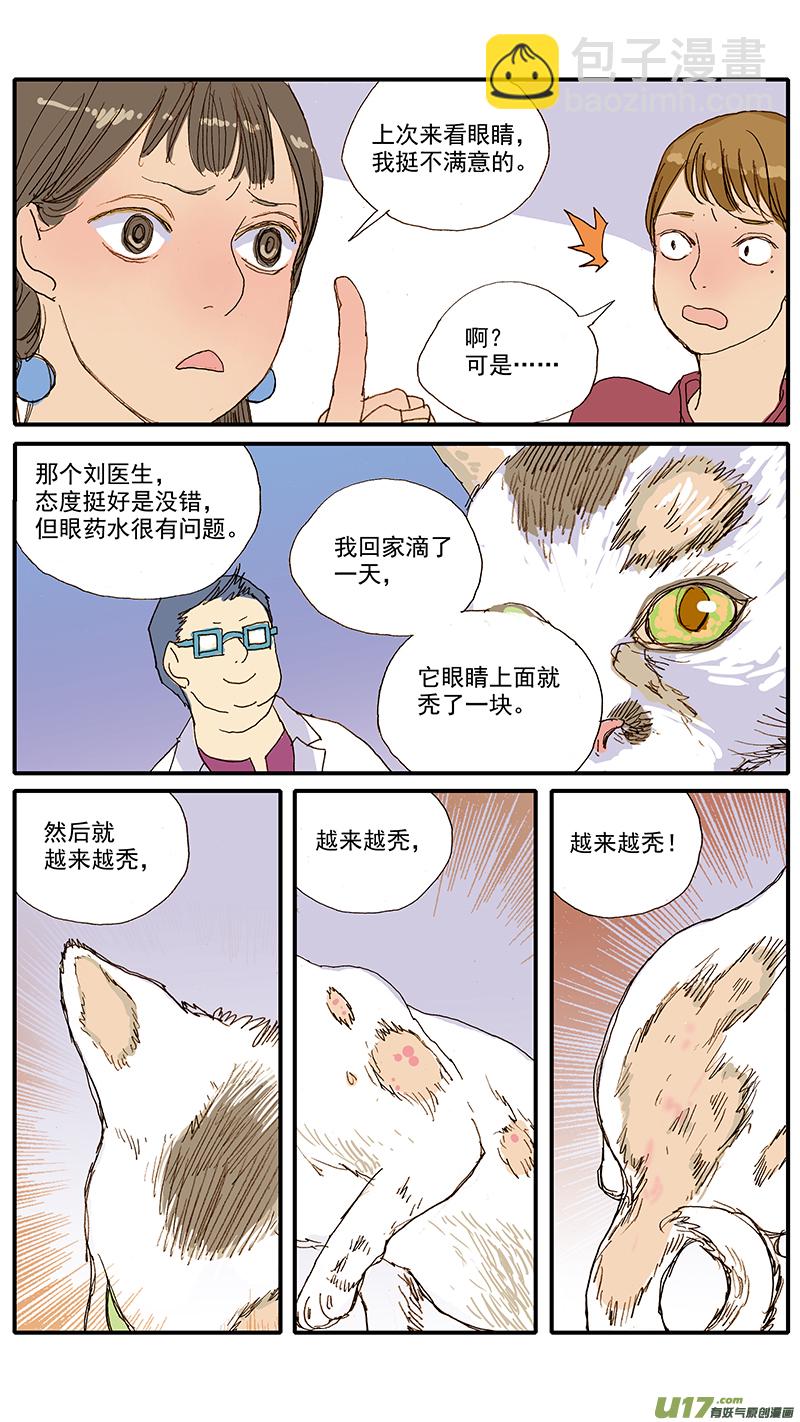 《百足宠物诊所》061 犭小孢子菌（猫癣） 第4页