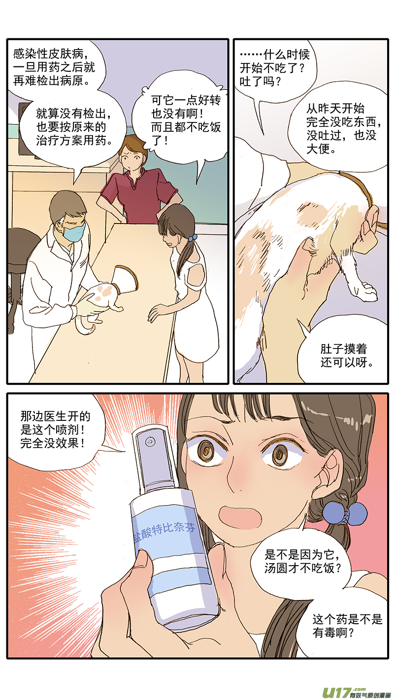 《百足宠物诊所》061 犭小孢子菌（猫癣） 第6页