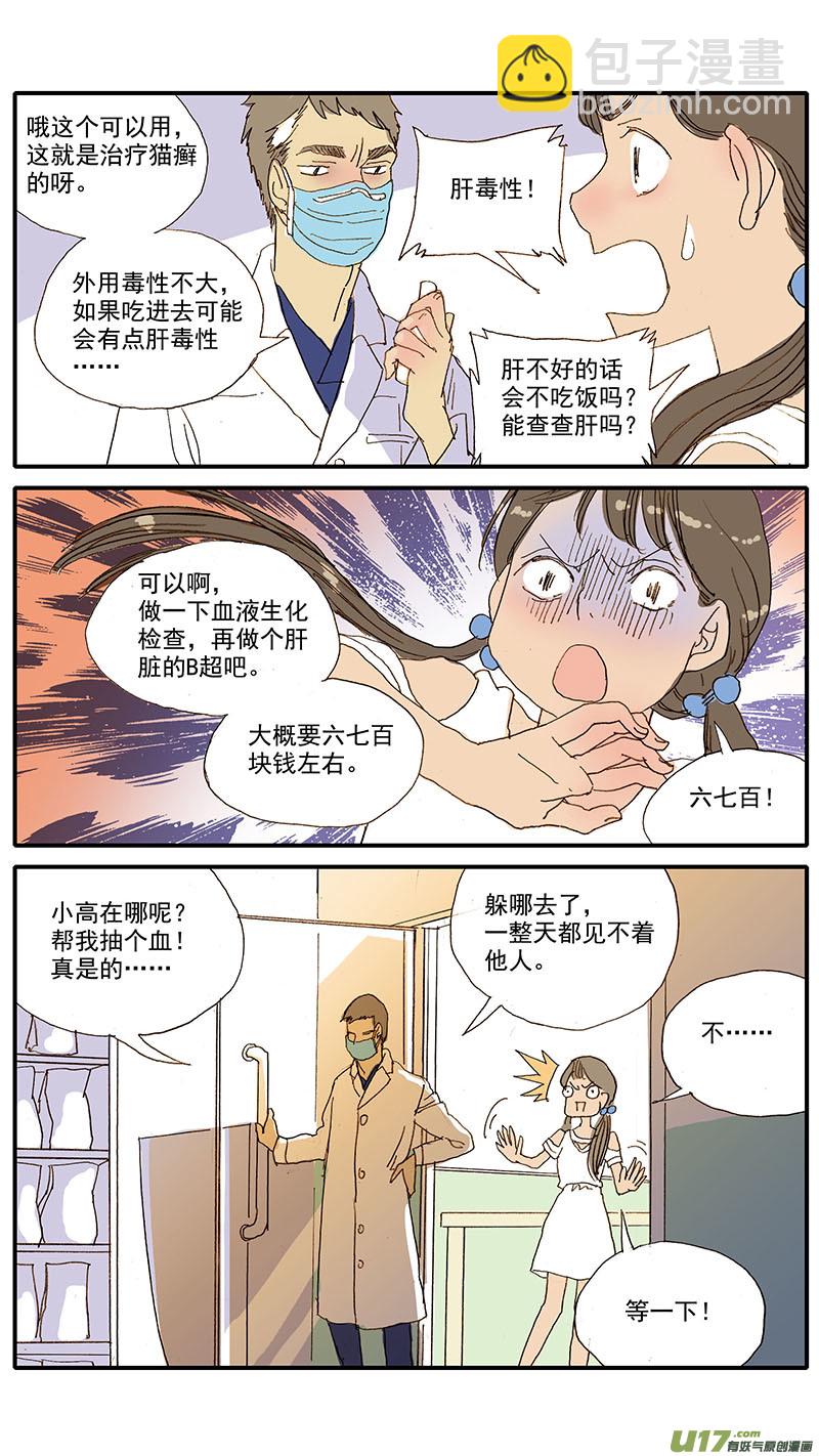 《百足宠物诊所》061 犭小孢子菌（猫癣） 第7页