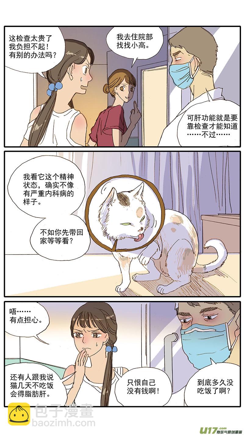 《百足宠物诊所》061 犭小孢子菌（猫癣） 第8页