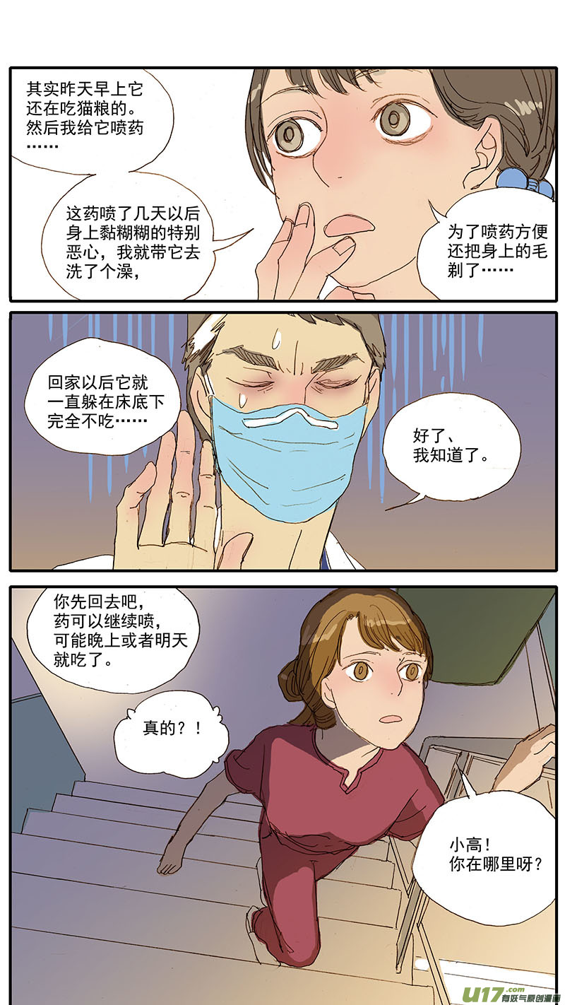 《百足宠物诊所》061 犭小孢子菌（猫癣） 第9页