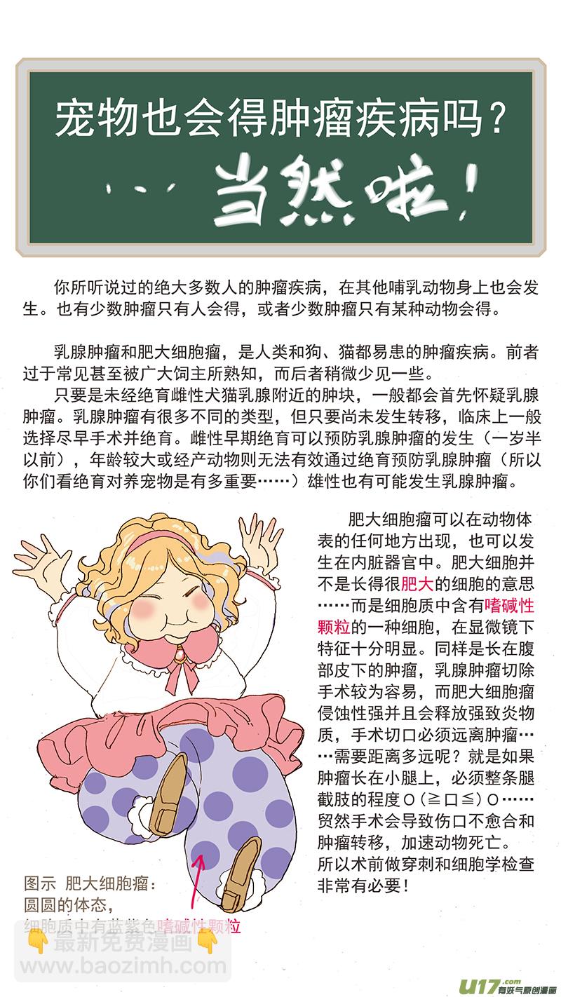 《百足宠物诊所》063 肥大细胞瘤 第13页
