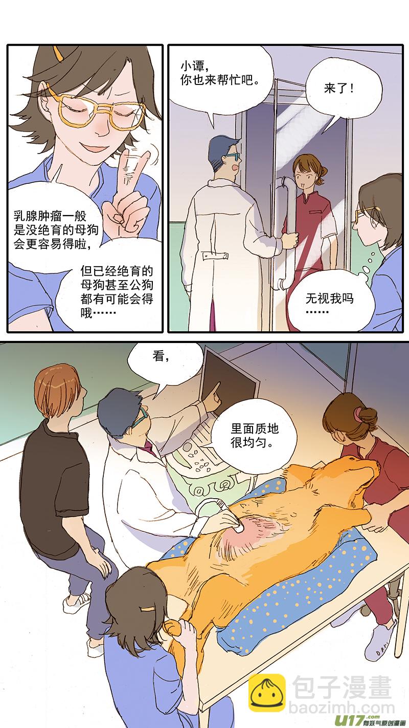 《百足宠物诊所》063 肥大细胞瘤 第6页