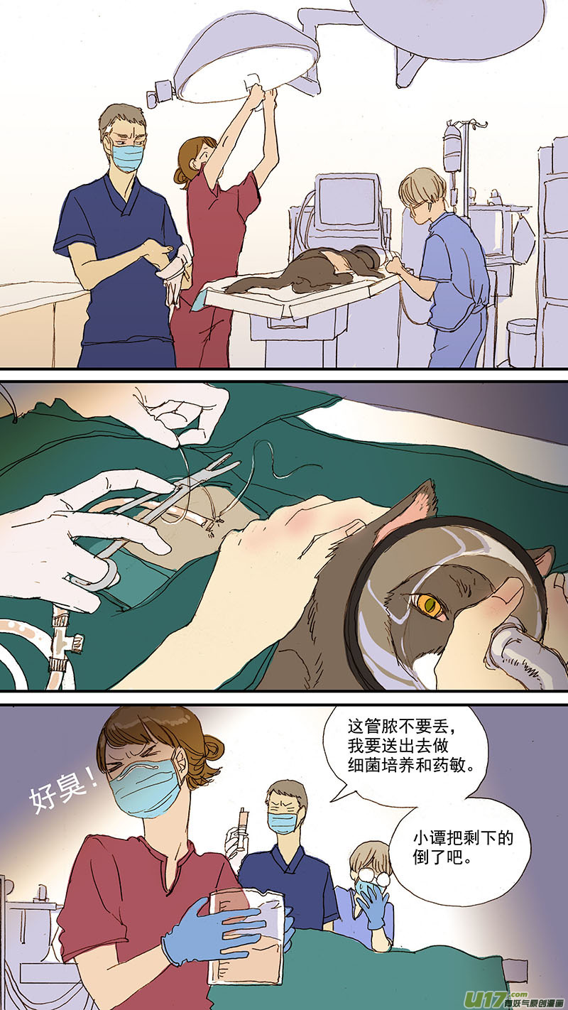 《百足宠物诊所》066 脓胸 第10页