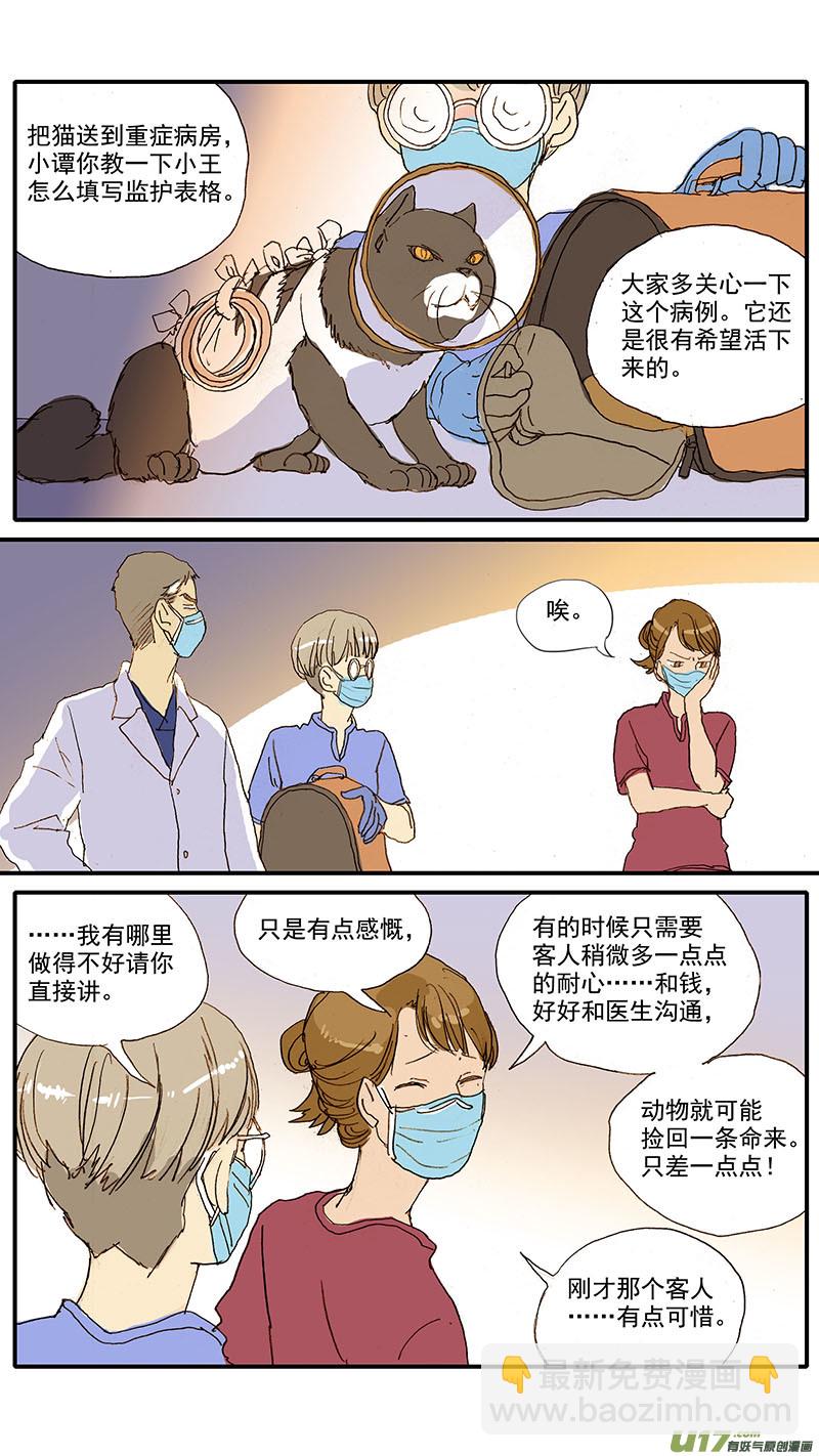 《百足宠物诊所》066 脓胸 第11页